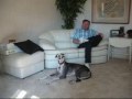 Singing Galgo (Grandpa and Spanish Greyhound, "Presto") の動画、YouTube動画。