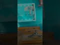 #Ocean#Tape#Vintage #jisoflower #kpop