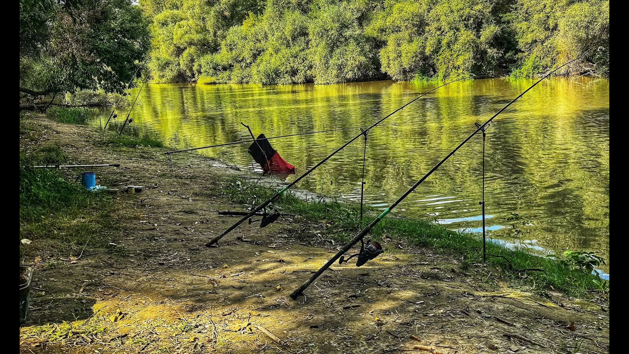 Приключение на Татару продолжилось вот так 💚🍀