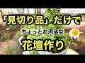 【園芸・ガーデニングを楽しもう!】激安の見切り品だけでオシャレな花壇を作る動画です。