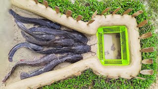 Amazing Easy Fish Trap  Unique Easy Fish Trap System 2022