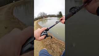 Big Bass Bank Flip‼️