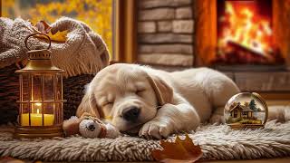 12 Hours Of Dog Calming Music 🎵 Relaxation Music for Dogs 🐶 Comforting Sounds 💖 Stress-Free Sleep