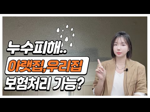 누수 물 샜을때 아랫집 우리집 다 보상가능 Ft 일상생활배상책임 보험101 Pt 01 