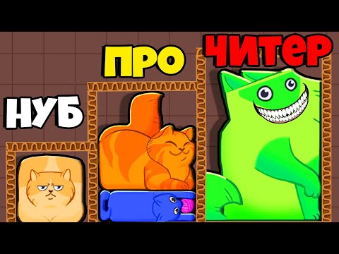 ЭВОЛЮЦИЯ ПАЗЛА ИЗ КОТОВ, МАКСИМАЛЬНЫЙ УРОВЕНЬ! | Puzzle Cats