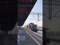 Koncent RP1 od SU4210-007 (PKP Intercity) w Pruszczu Gdańskim