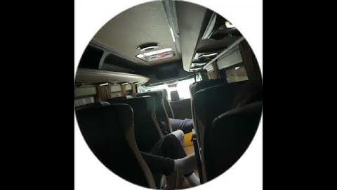 SALUKI - Snippet 13.10.23