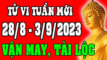 Tử vi 12 con giáp Tuần mới 28/8 - 3/9/2023 - Vận Mệnh, Tài Lộc, Công Việc, Tình Duyên, Sức Khỏe