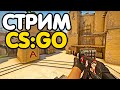 Путь до 10 уровня фейсит. Играем со зрителями. Розыгрыши. Стрим CSGO