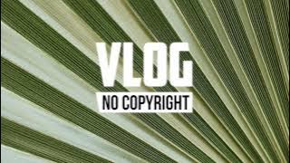 Scandinavianz - Joyride (Vlog No Copyright Music)