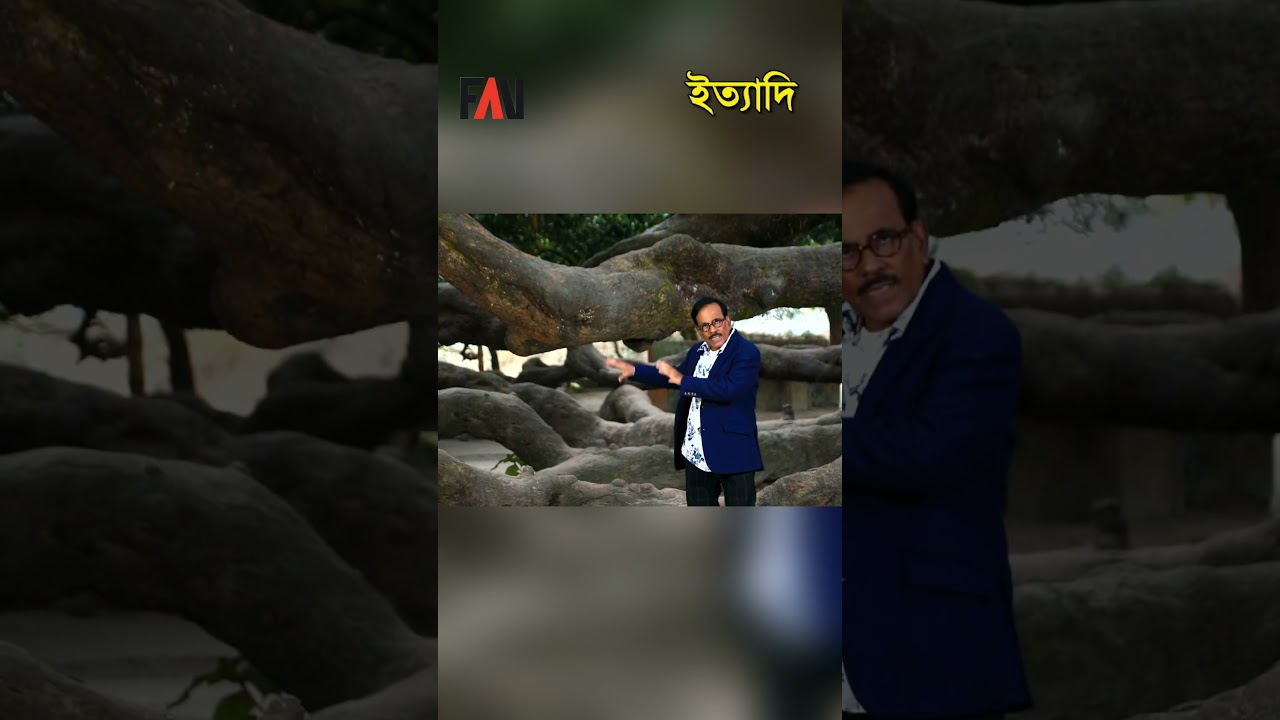 বালিয়াডাঙ্গীর সূর্যপুরী আমগাছ | ইত্যাদি ঠাকুরগাঁও পর্ব - জানুয়ারি ২০২৫ #shorts