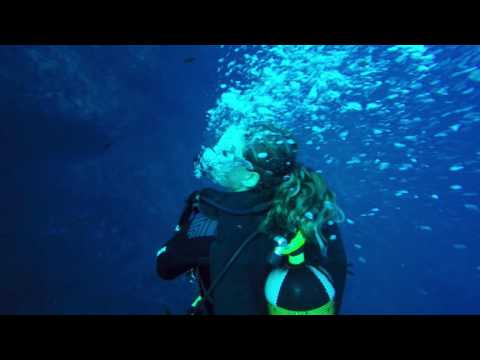Buceo en el Bajo de Dentro el 05/11/16