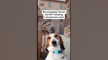 It’s just a motivation 😏 #cs2 #cs2memes #cs2funny #cs2videos #cs2clips #csgo