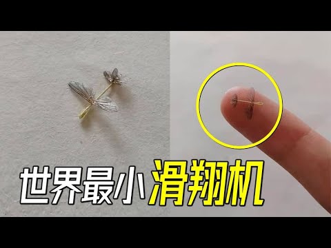 网友研发世界最小滑翔机！极限状态下的升力体飞行器【萌萌战队】