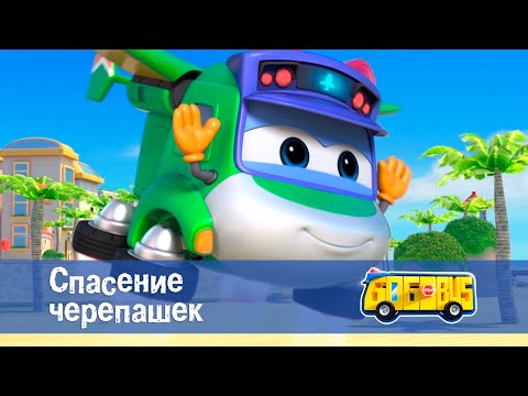 Школьный автобус🚌 Гордон. Сезон 2 - Серия 1. Спасение черепашек - Мультфильм