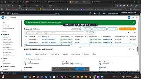 Elastic IP address demo part 1