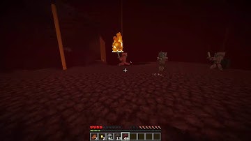 How to kill zombie pigmen - Tom