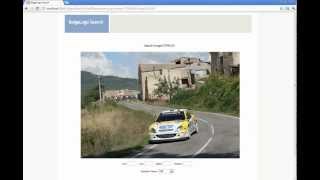 Randomized Visual Phrases for Object Search.mp4