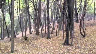 IMG 0410