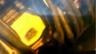 12 Mva Transformatör Sarği Arizasi Ğaz Çikişi Vid20130201095203