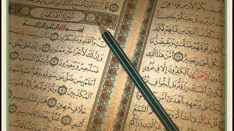 الشيخ نبيل الرفاعي   سورة القلم