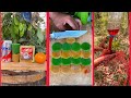 Survival Skills: The shows and Useful save SOAP &amp; Water #bushcraft #camping #ideas #useful #survival