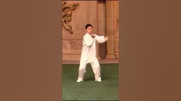 Chen Style Taiji Quan. Old Frame Laojia 2nd Routine