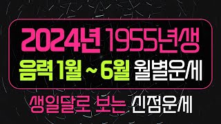 2024년 1955년생 상반기 양띠운세 음력1월부터 6월운세 안양점집 천지신당