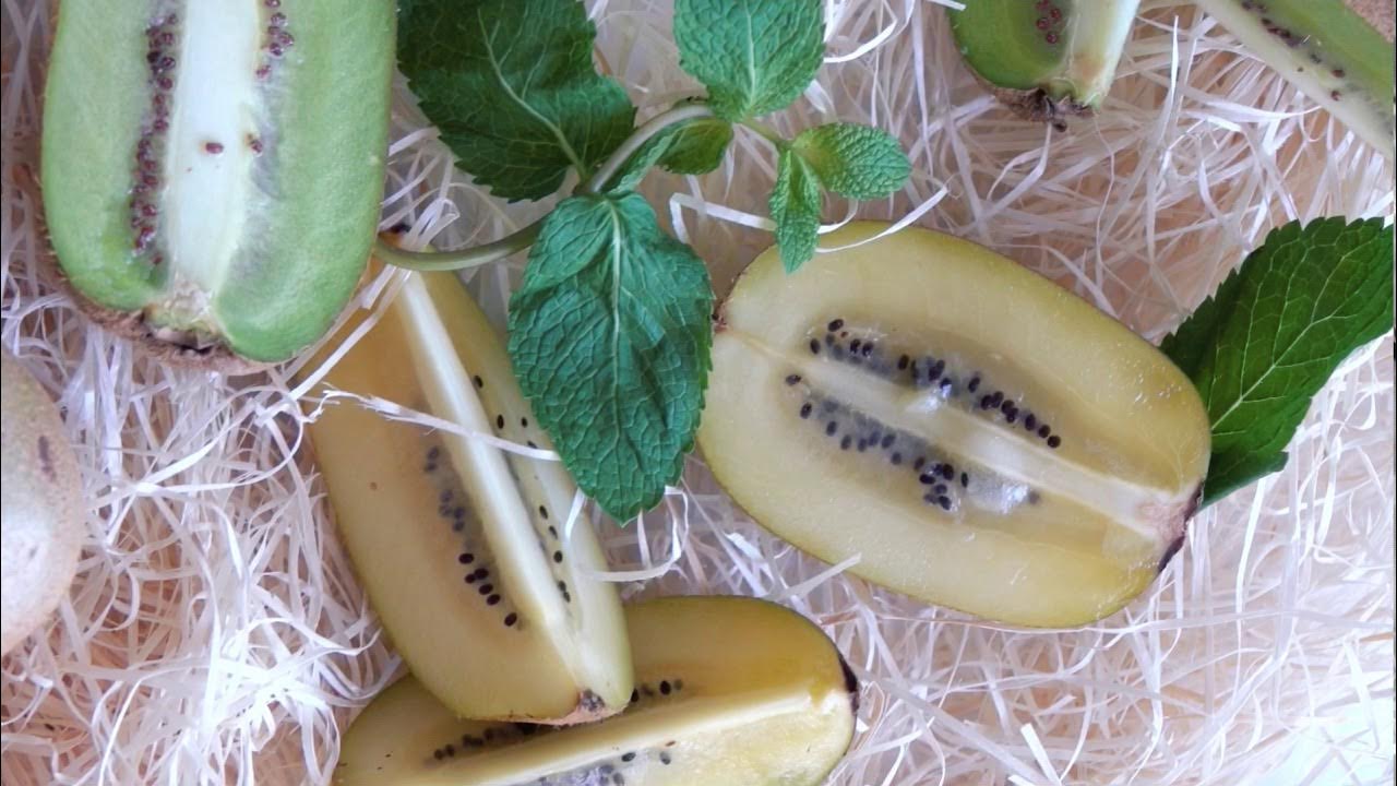 как выбрать киви. как выбрать киви в магазине. киви на ночь. киви чем полезен фрукт. как выбрать киви в магазине.