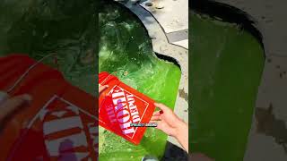 Swamp pool cleaning day 1 #pool #poolcleaning #diy #poolmaintenance #thep00lguy #poolcare #pools