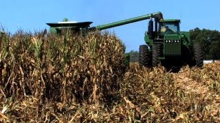 USDA Study Shows Cropland Decreasing, Productivity Increasing