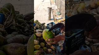 Tender Coconut #viralshort #fruitcutting #tendercoconut #shortsfeed #shorts