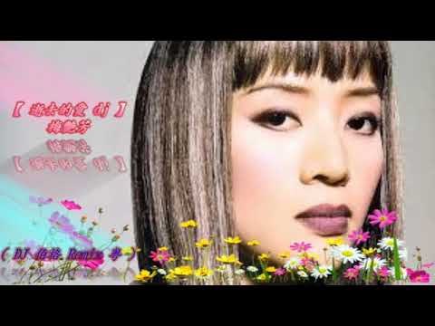 逝去的愛 Dj 梅艷芳 DJ 伯格 Remix 粵
