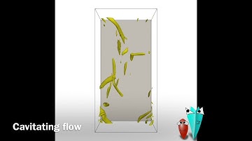 Vortex cavitation in turbulent flow