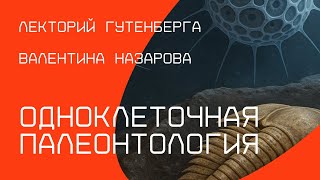 картинка: Одноклеточная палеонтология | Валентина Назарова