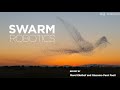 Robotic Swarms — An Overview