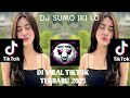 DJ SUMO IKI LO DJ VIRAL TIKTOK TERBARU 2025 DJ SUMO IKI LO DJ VIRAL TIKTOK TERBARU 2025