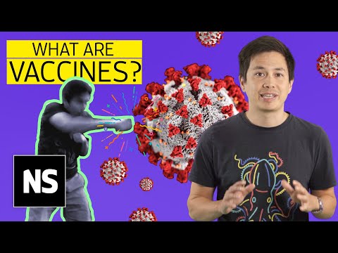 What is a vaccine and how do they work? | Science with Sam