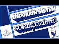 Endokrin Sistem Soru Çözümü #4 | AYT Biyoloji