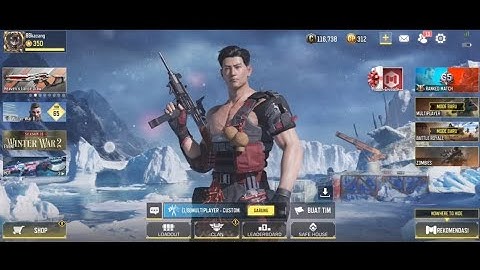 ( 5 ) Use Lethal Throwables 10 Times on MP