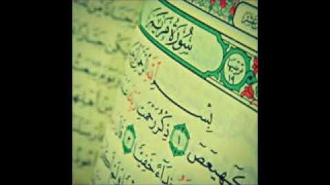 الجزء السادس عشر الكهف ومريم وطه  بصوت القارئ ماهر علوان