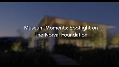 Museum Moments: Spotlight on The Norval Foundation, Tokai