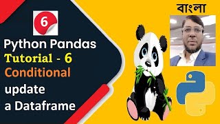 Celebrity Python Pandas Tutorial 6 : Conditional update a Dataframe | Index wise update | Aksadur | Bangla Wealth