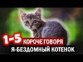 КОРОЧЕ ГОВОРЯ, Я БЕЗДОМНЫЙ КОТЕНОК 1-5 ЧАСТЬ [От первого лица] БЕЗДОМНЫЙ ЩЕНОК. История одной жизни