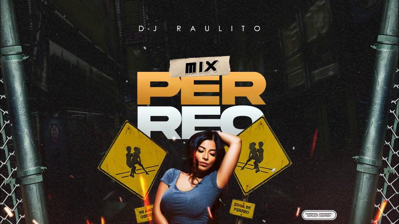 MIX REGGAETON ANTIGUO (PERREO INTENSO, BELLAQUEO) DJ RAULITO YouTube