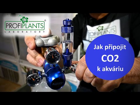 Video: Ktorý plyn sa správa najviac ako ideálny plyn?