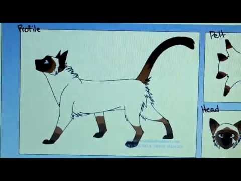 Как создать своего кота-воителя?/How to create your cat-warrior?