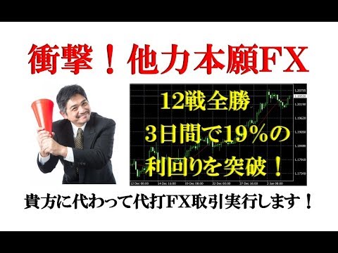 「他力本願FX 画像」の画像検索結果