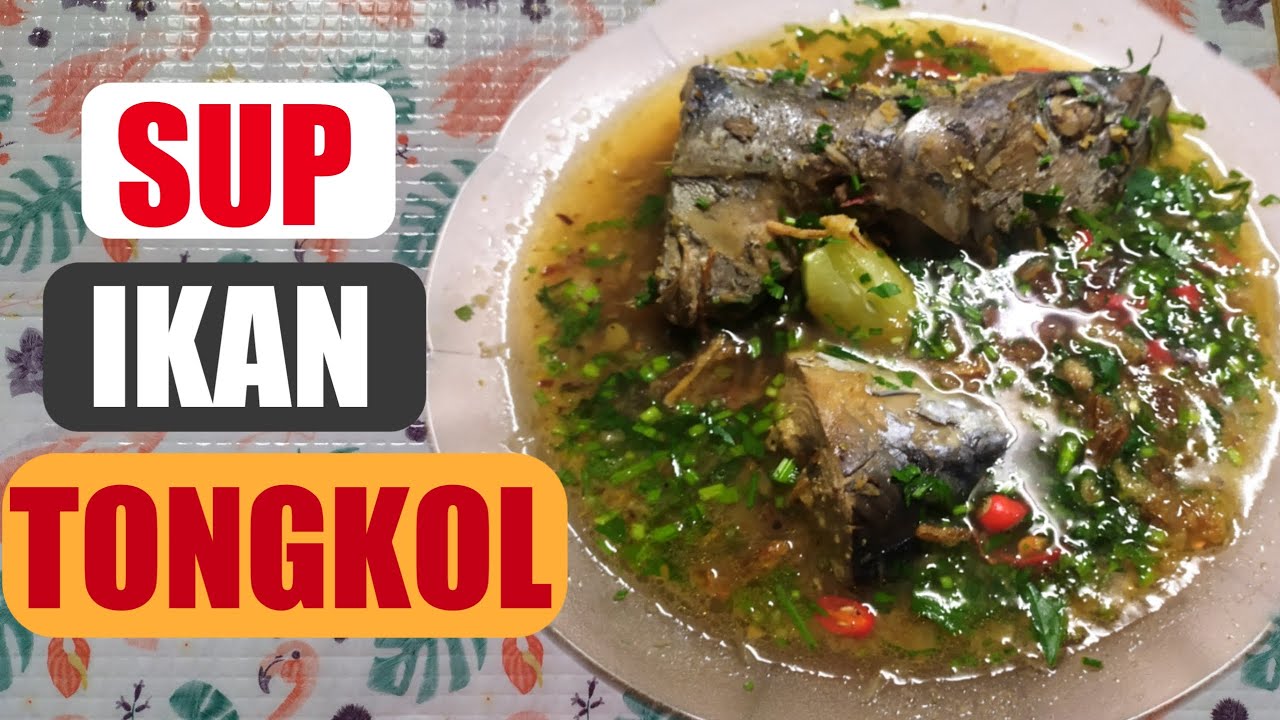 Sup Ikan Tongkol Sangat Sedap Mudah Cara Saya Youtube