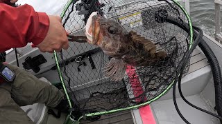 Fishing for Rockfish | Half Moon Bay